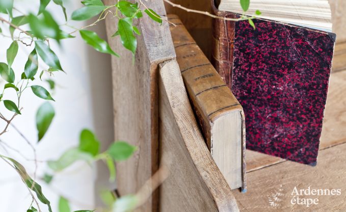 Ferienhaus Bertrix (Jehonville) 7 Pers. Ardennen Wellness