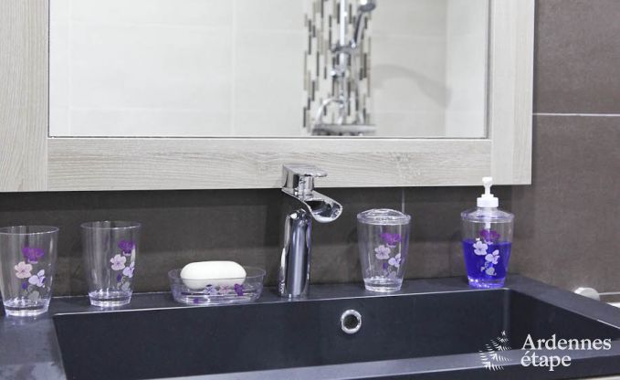 Ferienhaus Bertrix 4 Pers. Ardennen