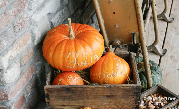 Ferienhaus Bertrix 6 Pers. Ardennen