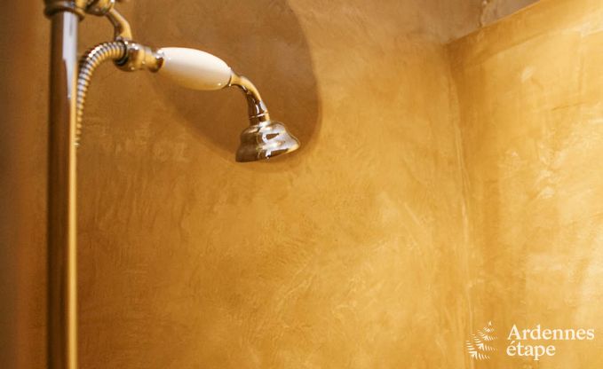 Ferienhaus Bertrix 6 Pers. Ardennen