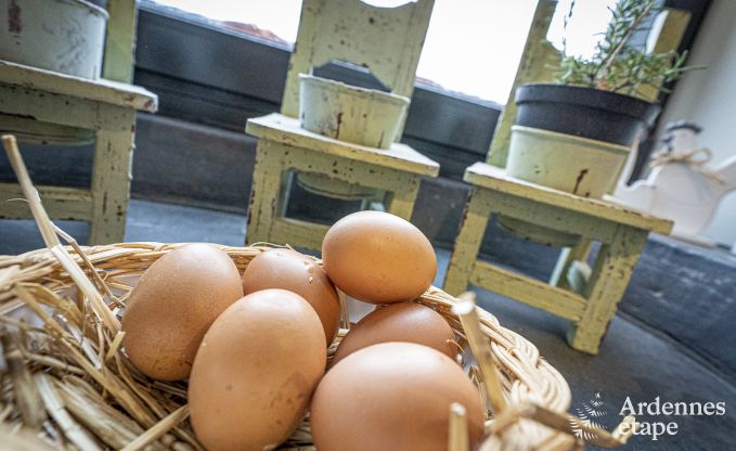 Ferienhaus Bertrix 4 Pers. Ardennen