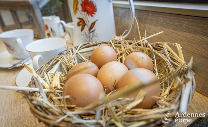 Ferienhaus Bertrix 6 Pers. Ardennen