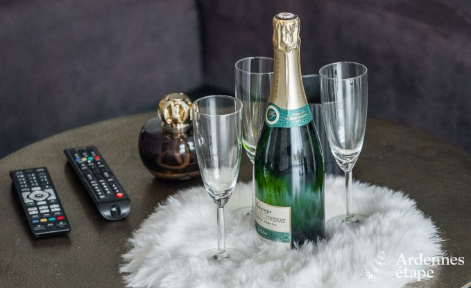 Luxuri�ses und hundefreundliches Ferienhaus in Bertrix, Ardennen