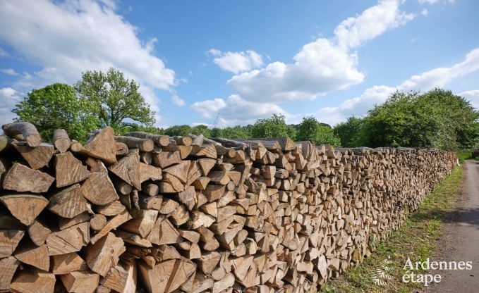Gemtliches und gerumiges Ferienhaus in Bertrix, Ardennen