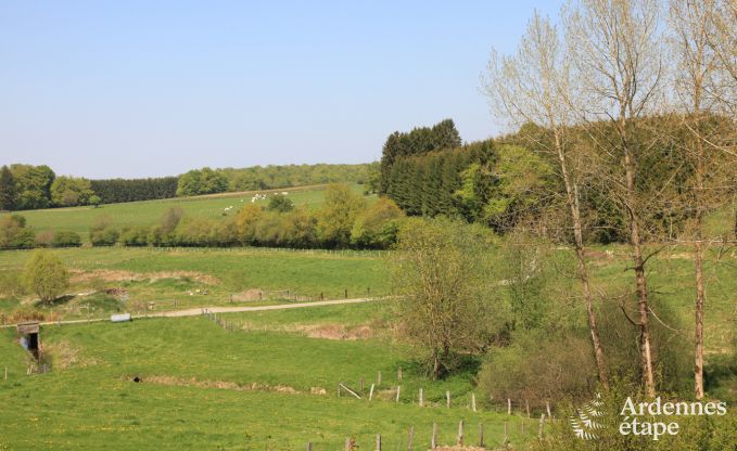 Ferienhaus Bertrix 10 Pers. Ardennen Wellness