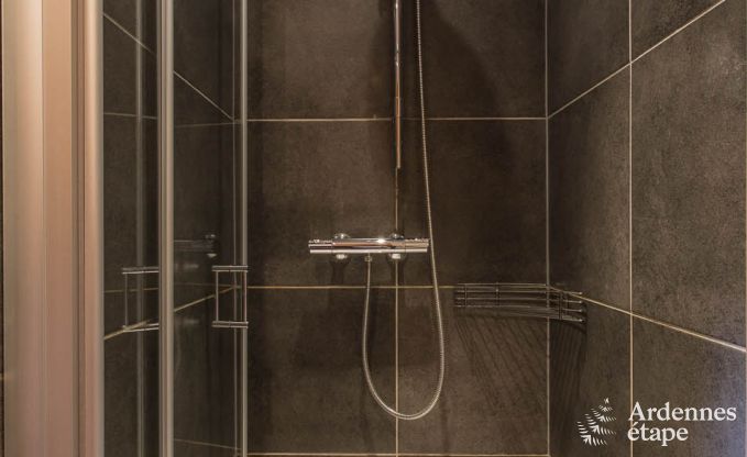 Ferienhaus Bertrix 9 Pers. Ardennen Wellness