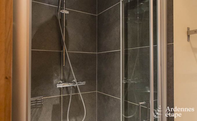 Ferienhaus Bertrix 9 Pers. Ardennen Wellness