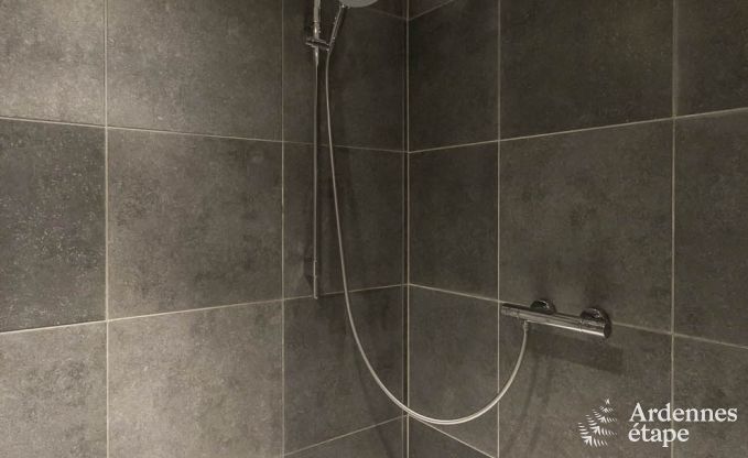 Ferienhaus Bertrix 9 Pers. Ardennen Wellness