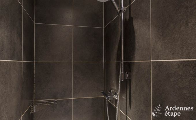 Ferienhaus Bertrix 13/15 Pers. Ardennen Wellness