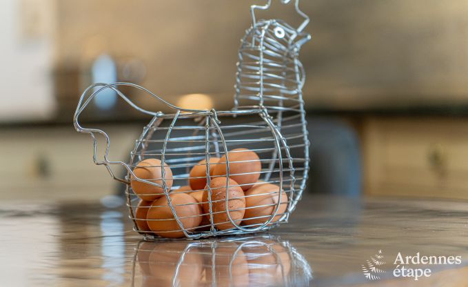 Ferienhaus Bertrix 9 Pers. Ardennen Wellness