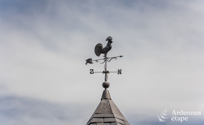 Ferienhaus Bertrix 9 Pers. Ardennen Wellness