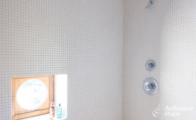 Ferienhaus Bertrix 9 Pers. Ardennen Schwimmbad Wellness