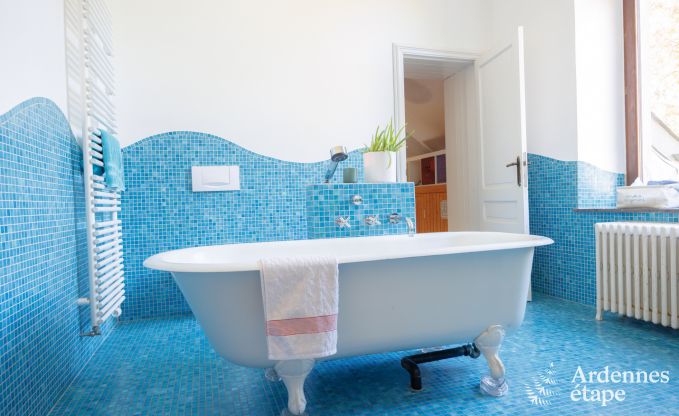 Ferienhaus Bertrix 9 Pers. Ardennen Schwimmbad Wellness