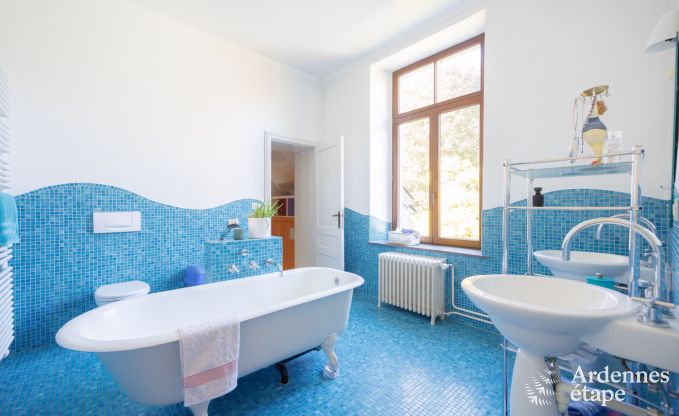 Ferienhaus Bertrix 9 Pers. Ardennen Schwimmbad Wellness