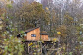 Baumhaus für 8 Personen in den Ardennen (Bertrix)
