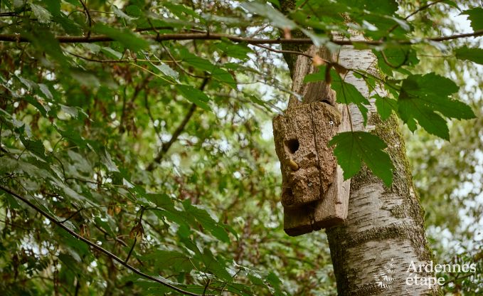 Wundersch�nes Holzpfahlhaus Bertrix, Ardennen