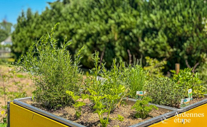 Familienfreundliches Ferienhaus fr 8 Personen und 2 Hunde in Jehonville