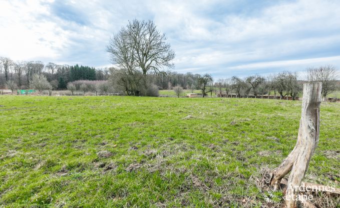 Luxuri�ses und hundefreundliches Ferienhaus in Bertrix, Ardennen