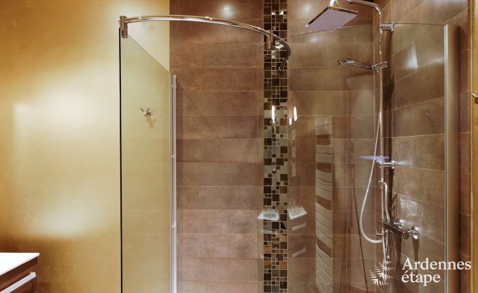 Ferienhaus Bertrix 9 Pers. Ardennen Wellness