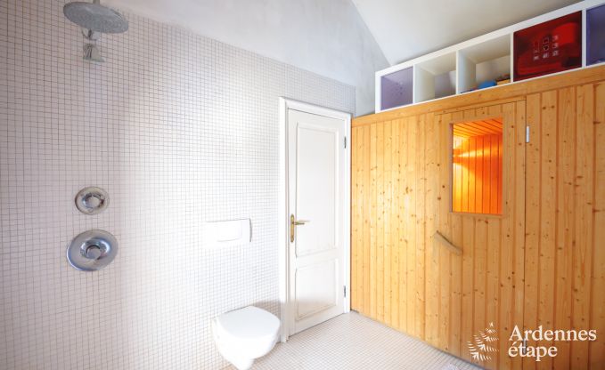 Ferienhaus Bertrix 9 Pers. Ardennen Schwimmbad Wellness