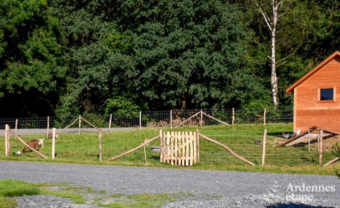 Urlaub auf dem Bauernhof Bertrix 4 Pers. Ardennen