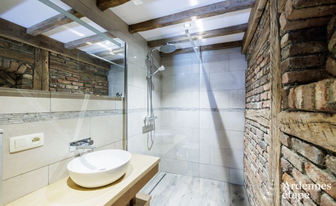 Ferienhaus Bivre 9 Pers. Ardennen Wellness