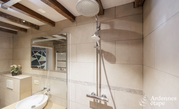 Ferienhaus Bi�vre 9 Pers. Ardennen Wellness