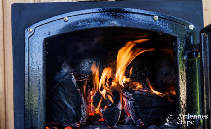 Ferienhaus Bi�vre 9 Pers. Ardennen Wellness