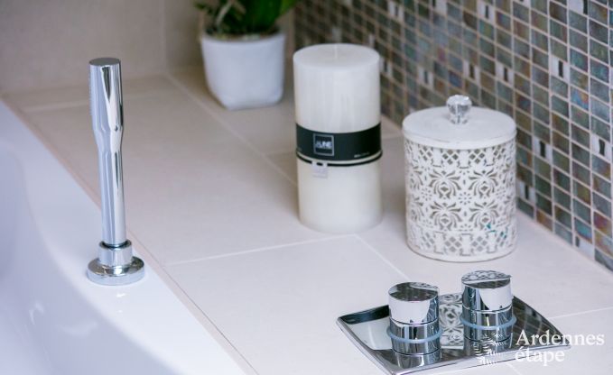 Ferienhaus Bivre 12 Pers. Ardennen Wellness