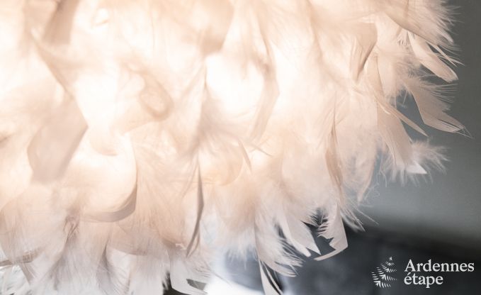 Ferienhaus Bi�vre 12 Pers. Ardennen Wellness