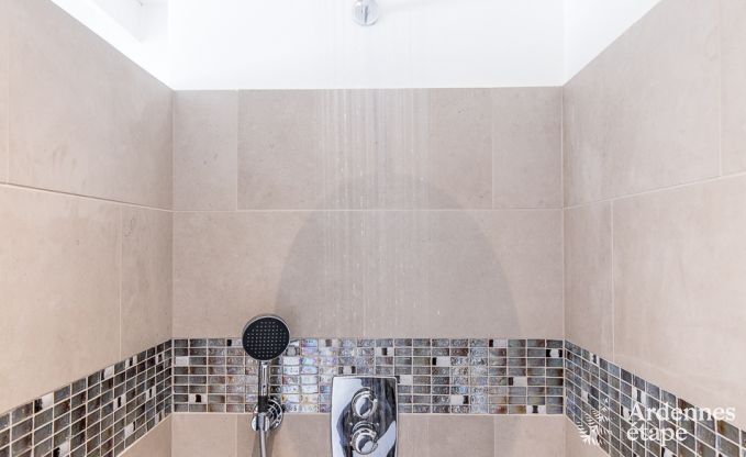 Ferienhaus Bi�vre 12 Pers. Ardennen Wellness