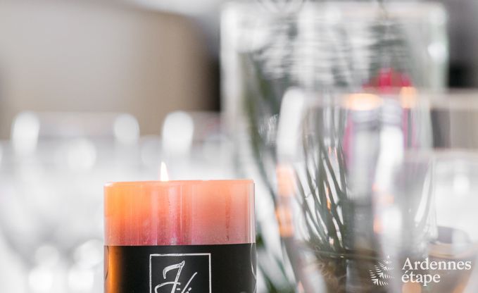 Ferienhaus Bi�vre 12 Pers. Ardennen Wellness