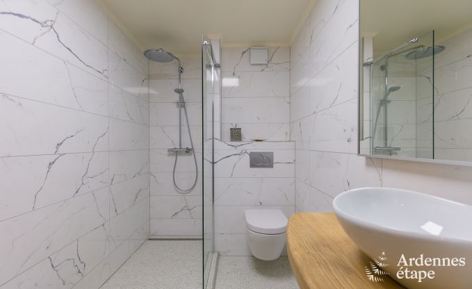 Ferienhaus Bi�vre 12 Pers. Ardennen Wellness