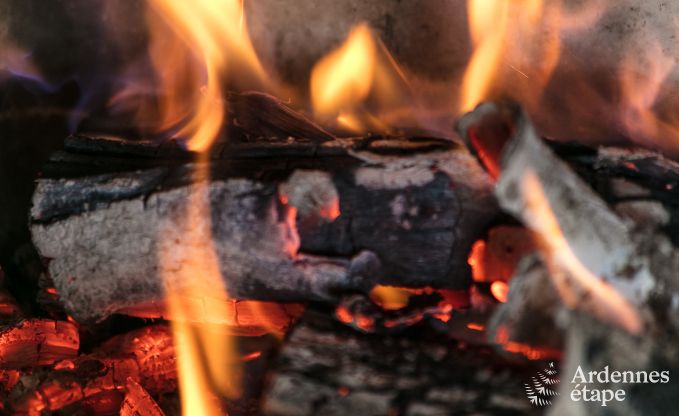 Ferienhaus Bi�vre 12 Pers. Ardennen Wellness