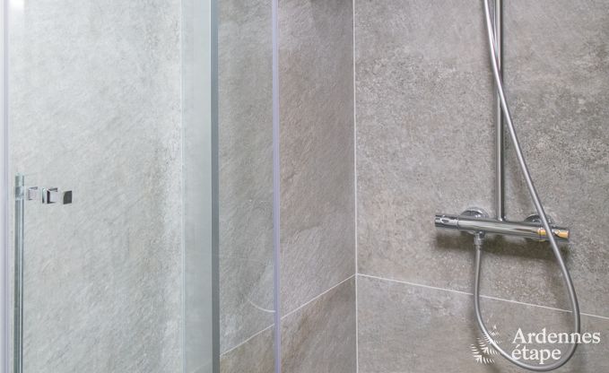 Ferienhaus Bi�vre 12 Pers. Ardennen Wellness