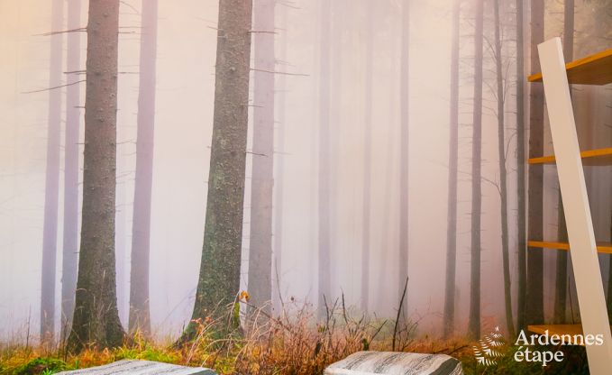 Ferienhaus Bi�vre 12 Pers. Ardennen Wellness