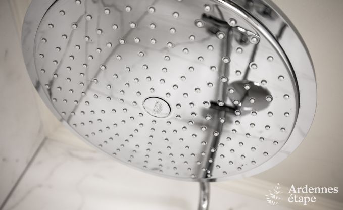 Ferienhaus Bi�vre 12 Pers. Ardennen Wellness