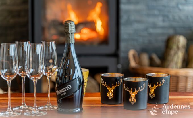 Ferienhaus in Bi�vre: haustierfreundlicher Komfort f�r 12 Personen mit Sauna in den Ardennen