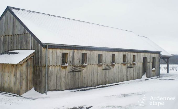 Luxusvilla Bi�vre 19 Pers. Ardennen Schwimmbad Wellness