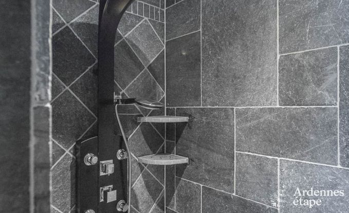 Luxusvilla Bi�vre 19 Pers. Ardennen Schwimmbad Wellness