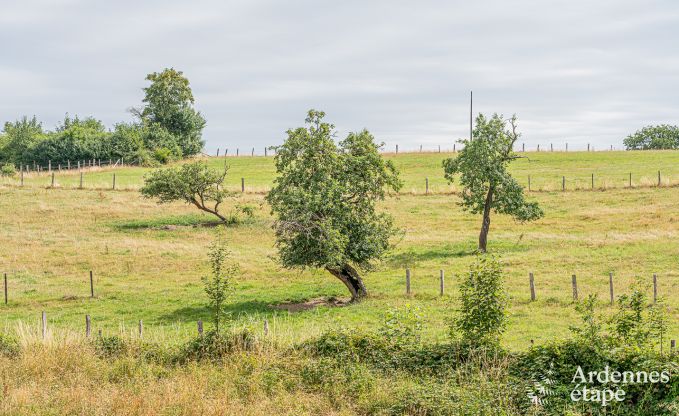 Ferienhaus Bi�vre 4 Pers. Ardennen