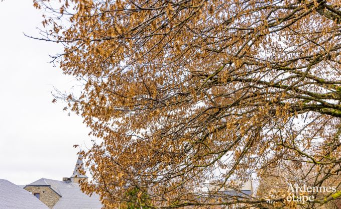 Ferienhaus Bi�vre 7 Pers. Ardennen