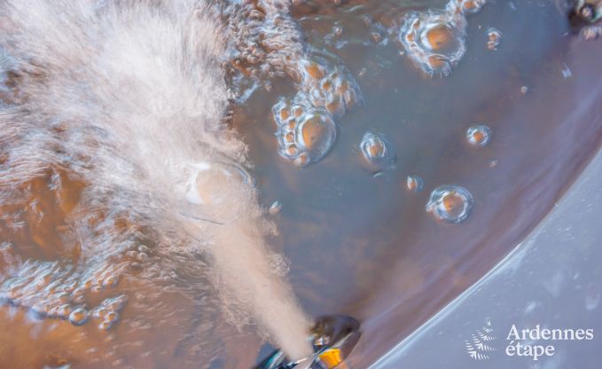 Ferienhaus Bivre 9 Pers. Ardennen Wellness