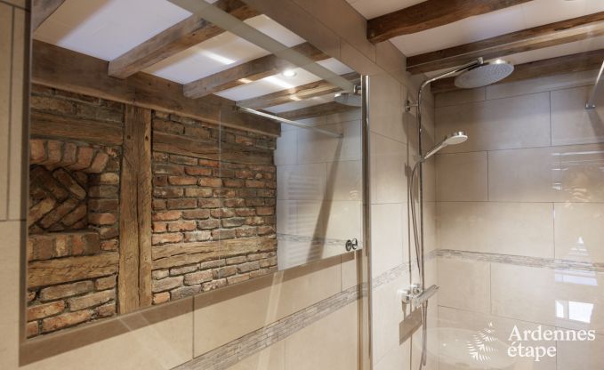 Ferienhaus Bivre 9 Pers. Ardennen Wellness