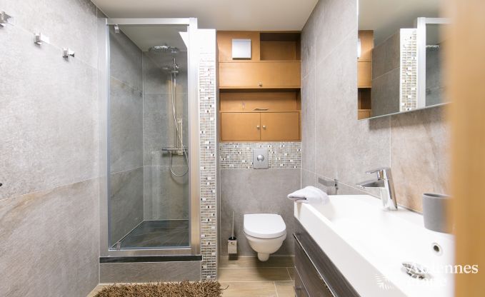 Ferienhaus Bivre 12 Pers. Ardennen Wellness