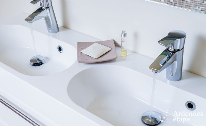 Ferienhaus Bivre 12 Pers. Ardennen Wellness