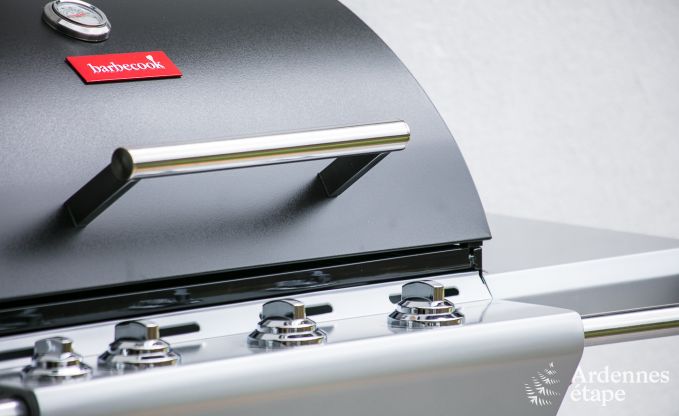 Ferienhaus Bivre 12 Pers. Ardennen Wellness