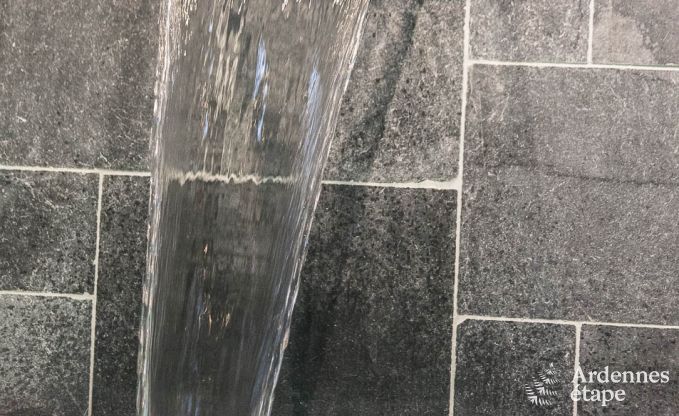 Luxusvilla Bivre 10 Pers. Ardennen Schwimmbad Wellness