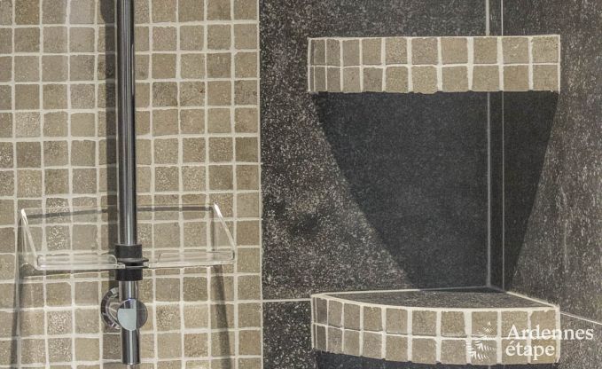 Luxusvilla Bivre 19 Pers. Ardennen Schwimmbad Wellness