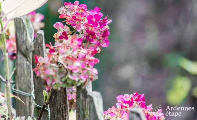Wunderschnes Ferienhaus in Bomal-Sur-Ourthe, Ardennen